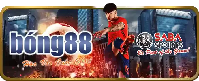 Truy cập nhanh chóng và ổn định